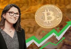 giá bitcoin: ARK Invest chuyển hướng sang Bitcoin khi Cathie Wood kỳ vọng giá BTC sẽ bùng nổ