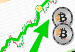 giá bitcoin: Bitcoin SV (BSV) mở ra năm 2024 với mức tăng 110% - chi tiết