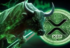 giá bitcoin: Valkyrie Exec mong đợi SEC phê duyệt XRP ETF, điều này có thể đẩy giá lên 100 USD không?