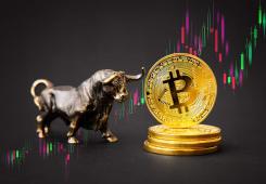 giá bitcoin: Giám đốc điều hành Skybridge Capital tiết lộ khi nào giá Bitcoin sẽ đạt 170.000 USD