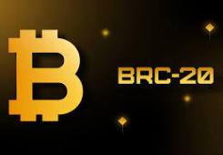 giá bitcoin: Cách mua và giao dịch token BRC-20 trên mạng Bitcoin