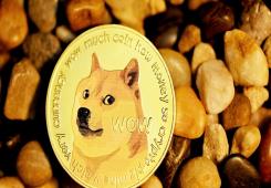 giá bitcoin: Giá Dogecoin tăng 50% đánh bại Avalanche, BONK vượt qua PEPE