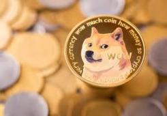 giá bitcoin: Cơ sở giữ Dogecoin đạt kỷ lục mới trong bối cảnh lãi suất biến động