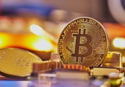 giá bitcoin: Bitcoin: Liệu bột khô này và các xu hướng lịch sử có thúc đẩy sự bùng nổ giá cả không?