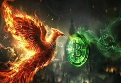 giá bitcoin: Tỷ lệ băm Bitcoin Cash đạt mức cao nhất hàng năm khi Phoenix thống trị 90% mạng lưới