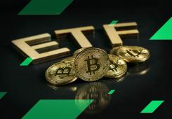 giá bitcoin: Biến động của ETF Bitcoin trị giá 13 tỷ đô la: Các tổ chức Hoa Kỳ dẫn đầu