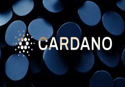 giá bitcoin: Giá Bitcoin tăng đã đẩy giá trị giữ BTC của Cardano Foundation lên hơn 100 triệu đô la