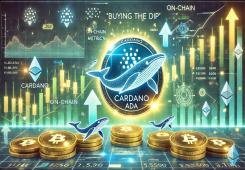 giá bitcoin: Số liệu về giao dịch cho thấy Cardano Whales đang 