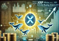 giá bitcoin: Cá voi XRP đang tải lên – Dữ liệu tiết lộ hoạt động mua