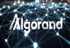 giá bitcoin: Algorand Foundation muốn DOGE áp dụng blockchain của mình cải tổ chính phủ