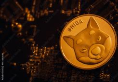 giá bitcoin: Số lượng triệu phú Shiba Inu giảm xuống dưới 1.000 sau khi thị trường sụt giảm, chúng kiểm soát được bao nhiêu?