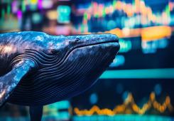 giá bitcoin: ZachXBT liên kết nhà đầu tư tiền điện tử Hyperliquid có rủi ro cao với kẻ lừa đảo khét tiếng ở Anh