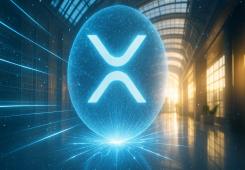 giá bitcoin: Ripple hợp tác với các ngân hàng chính của UAE tích hợp XRP vào cơ sở hạ tầng thanh toán