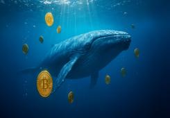 giá bitcoin: Cá voi Bitcoin đặt vị thế mua dài hạn đòn bẩy 40x trị giá 830 triệu đô la trên Hyperliquid