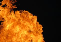 giá bitcoin: Cổ phiếu Shiba Inu Burn tăng vọt 3.194%: liệu có thể thay đổi quỹ đạo giá SHIB không?