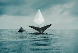 giá bitcoin: Hoạt động thương mại cho thấy Cá voi Ethereum đang tìm kiếm nơi ẩn náu trong Stablecoin