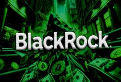 giá bitcoin: Ondo Finance bổ sung 95 triệu USD vào BlackRock BUIDL, nâng tổng AUM lên 240 triệu USD