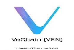 giá bitcoin: Kỷ nguyên mới của VeChain: Nền tảng thị trường ra mắt, giá tăng nhanh sắp xuất hiện?