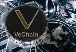 giá bitcoin: Dữ liệu lịch sử: Giá VeChain đã sẵn sàng cho một đột phá tăng giá?