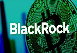 giá bitcoin: Chuỗi 71 ngày lịch sử của BlackRock kết thúc khi IBIT Bitcoin ETF không có dòng tiền vào