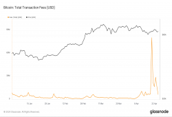 giá bitcoin: Sự biến động về phí Bitcoin chỉ tồn tại trong thời gian ngắn khi giao dịch Runes giảm