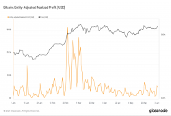 giá bitcoin: Tích lũy thị trường đã đẩy lợi nhuận thực tế của Bitcoin lên mức cao nhất mọi thời đại trước Halving