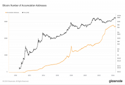 giá bitcoin: Tích lũy bitcoin giải quyết sự biến động khi sự lạc quan của thị trường trở lại