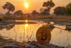 giá bitcoin: Zimbabwe triển khai nghiên cứu lập bản đồ và điều chỉnh ngành công nghiệp tiền điện tử