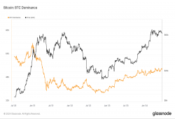 giá bitcoin: Sự thống trị của bitcoin tăng trở lại lên 55% vào giữa năm 2024