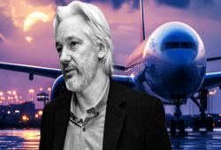 giá bitcoin: Cá voi bitcoin trả gần như toàn bộ phí máy bay trị giá 500 nghìn đô la của Assange chỉ trong một giao dịch