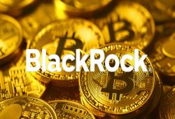 giá bitcoin: BlackRock tiết lộ thêm các giữ Bitcoin trong bối cảnh dòng vốn ETF ngày thứ 3 liên tiếp