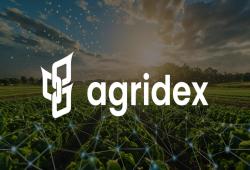 giá bitcoin: Cách AgriDex tận dụng NFT đảm bảo thương mại nông nghiệp: Phỏng vấn