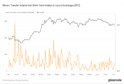 giá bitcoin: Xu hướng giảm trong đợt bán tháo: Khối lượng chuyển Bitcoin từ các công cụ giữ ngắn hạn chạm đáy sau năm 2024 Halving