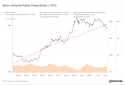giá bitcoin: Các công ty giữ Bitcoin bán lẻ tăng cường tích lũy trong bối cảnh sụt giảm
