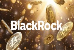 giá bitcoin: BlackRock Bitcoin ETF vượt qua quỹ Nasdaq Invesco QQQ vào năm 2024