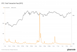 giá bitcoin: Phí giao dịch bitcoin giảm xuống mức thấp hàng năm