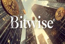 giá bitcoin: CIO Bitwise cho biết thị trường 