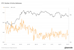 giá bitcoin: Sự biến động của địa chỉ hoạt động Bitcoin làm nổi bật sự tham gia của người dùng ngoài chu kỳ giá