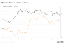 giá bitcoin: Địa chỉ Bitcoin có số dư khác 0 tăng hơn 50 triệu vào năm 2024