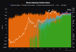 giá bitcoin: Mười năm dữ liệu địa chỉ Bitcoin tiết lộ hành vi của nhà đầu tư và sự thay đổi của thị trường