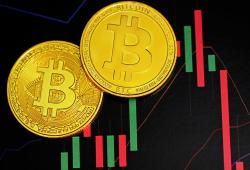 giá bitcoin: Biến động giá Bitcoin năm 2024 Không đủ đánh bại lợi nhuận điều chỉnh theo rủi ro của Vàng - chi tiết tại đây