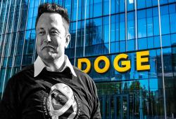 giá bitcoin: Biến động Dogecoin tăng 10% khi Elon Musk đề cử DOGE cho bộ phận chính phủ