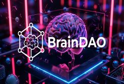 giá bitcoin: OpenAI GPT 4o được IQ xếp hạng là mô hình AI tốt nhất viết mã hợp đồng thông minh Solidity