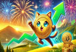 giá bitcoin: Thị trường Solana Memecoin phát triển mạnh: POPCAT đạt mức giá kỷ lục mới là 1,75 đô la