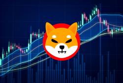 giá bitcoin: Shibarium của Shiba Inu chứng kiến mức biến động giao dịch hàng ngày lên tới 4,68 triệu, liệu điều này có đẩy giá SHIB lên mức 0,00008 đô la không?