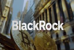 giá bitcoin: BlackRock chứng kiến dòng tiền đổ vào kỷ lục 1,1 tỷ đô la khi các ETF Bitcoin giao ngay có ngày tốt nhất từ trước đến nay