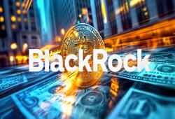 giá bitcoin: BlackRock ETF thu về hơn 3 tỷ đô la Mỹ trong 5 ngày sau khi dòng tiền mới 23 triệu đô la Mỹ chảy vào