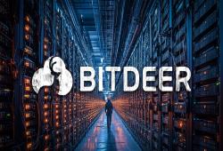 giá bitcoin: Bitdeer báo cáo khoản lỗ 50 triệu đô la do Bitcoin Halving, chi phí R&D tăng