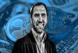 giá bitcoin: CEO Ripple Brad Garlinghouse đặt câu hỏi về việc 