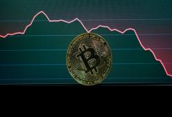 giá bitcoin: Bitcoin có khả năng bị bán tháo khi chỉ số này đạt 4%, nhà phân tích giải thích